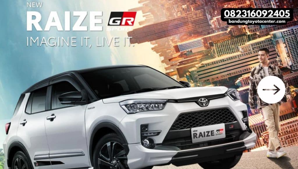 RAIZE